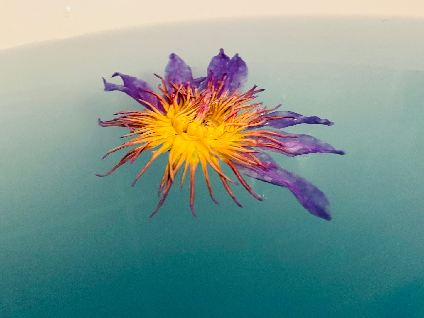 Cleopatra Blue Nile Milk Bath
